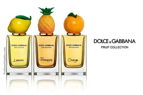 dolce gabbana orange perfume|authentic Dolce & Gabbana perfume.